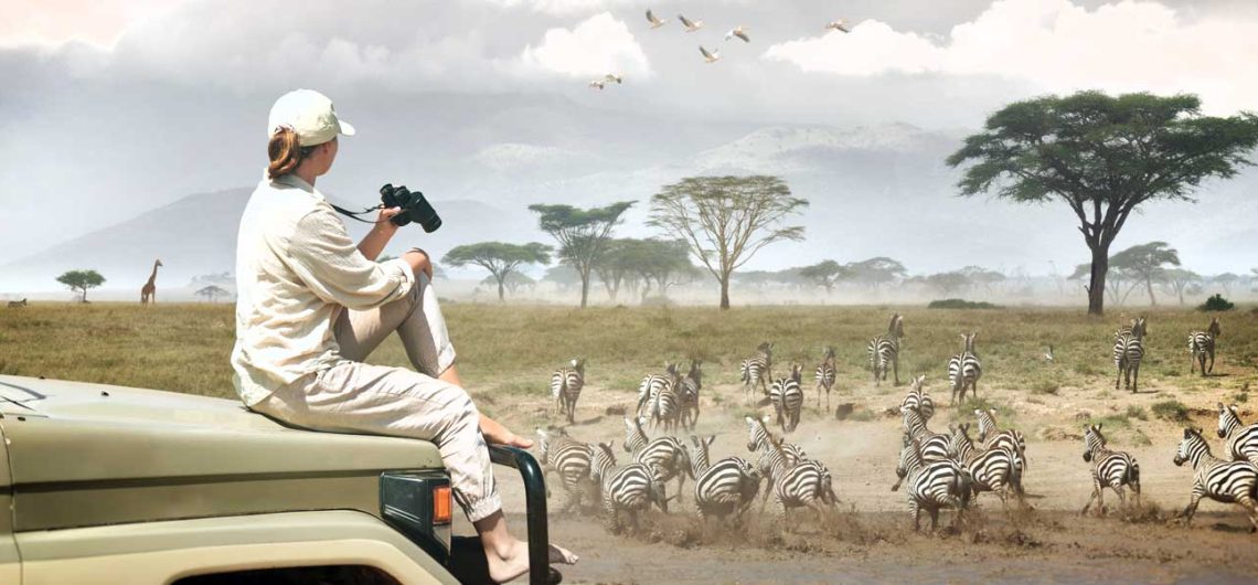 Why Safari in Tanzania?