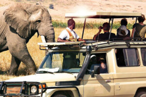 5-Day Tanzania Adventure Camping Safari